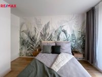 REMAX Delux