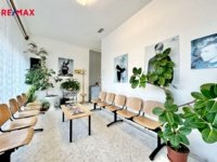 REMAX Delux