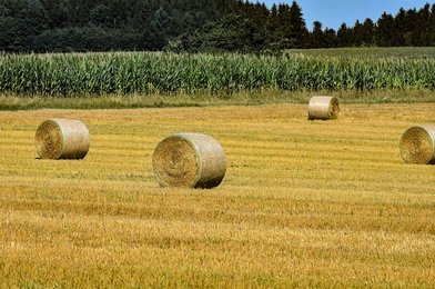 Jak postupovat při rozdělení pozemku