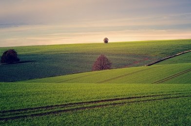 Co to je BPEJ u pozemku