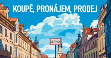 Víte, jak prodat, koupit nebo pronajmout byt nebo dům v Brně?