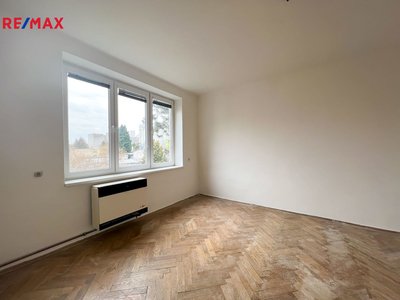 REMAX Delux