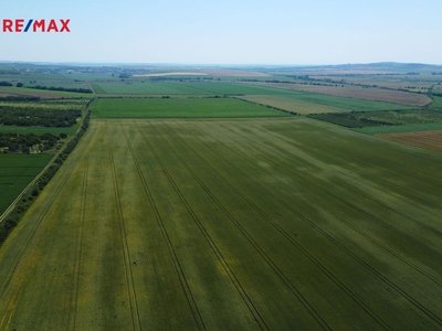 Prodej pozemku pro komerční výstavbu, 11875 m2, Hustopeče