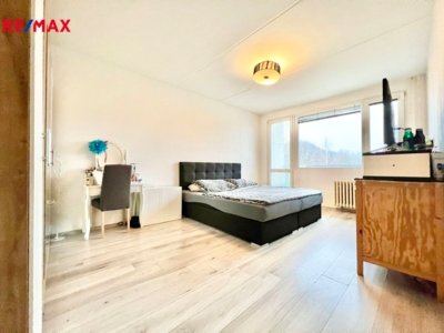 REMAX Delux