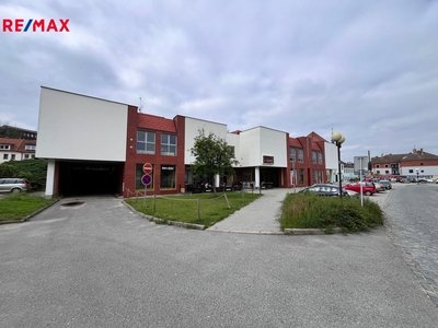 REMAX Delux