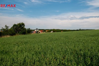 Realitní makléř Brno