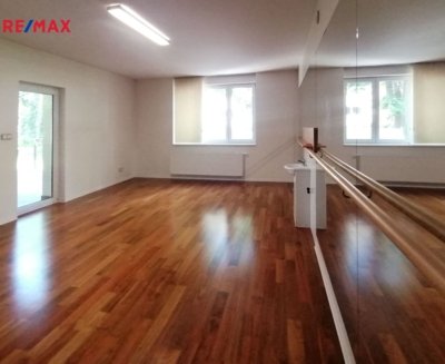 REMAX Delux