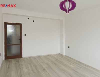 REMAX Delux