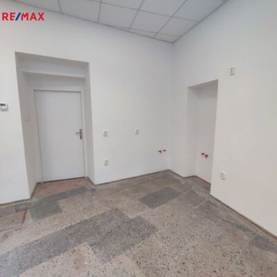 REMAX Brno