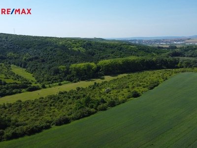 Prodej nemovitostí Brno