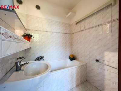 REMAX Delux