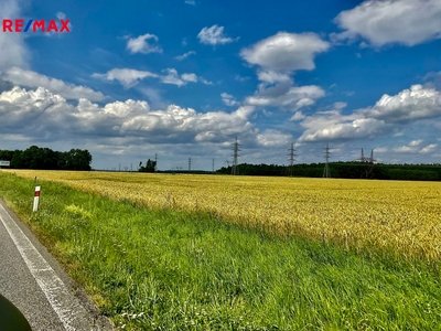 Prodej zemědělského pozemku, 13145 m2, Čejkovice