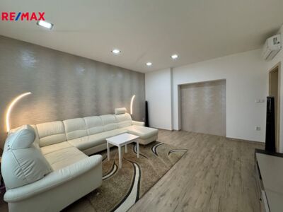 REMAX Delux