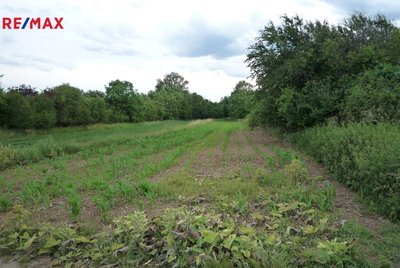 Prodej zemědělského pozemku, 44536 m2, Drnovice