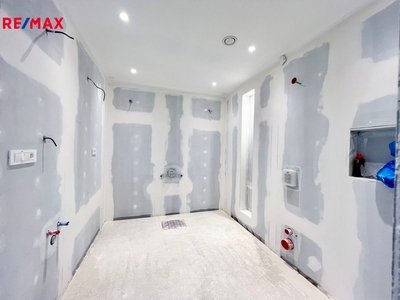 REMAX Delux