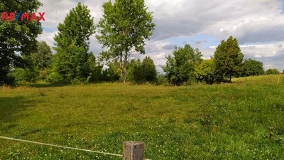 Prodej pozemku pro bydlení, 7880 m2, Mladějov na Moravě