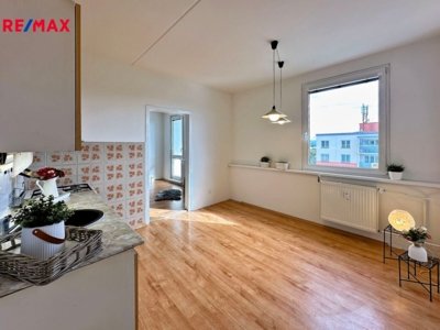 REMAX Delux