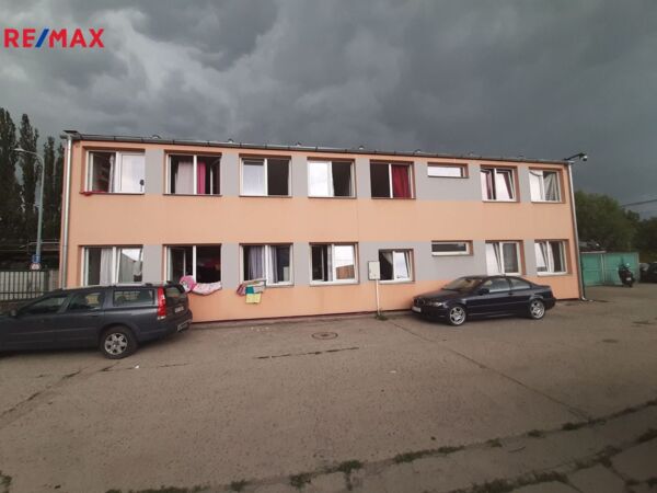 REMAX Delux