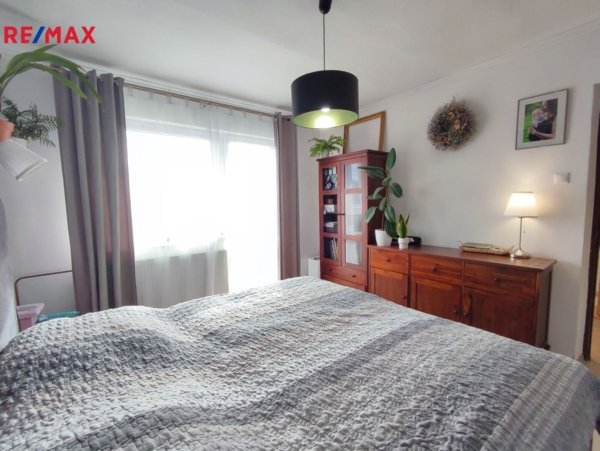 REMAX Delux