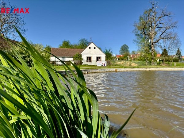 REMAX Delux