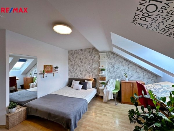 REMAX Delux